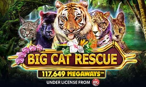 sp666 Big Cat Rescue Megaways